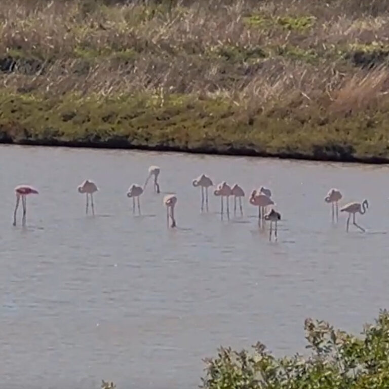 The First Step (Official Video)